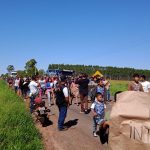 Demonstrando a força e beleza de sua cultura, Aldeia Limão Verde realiza passeata em rodovia