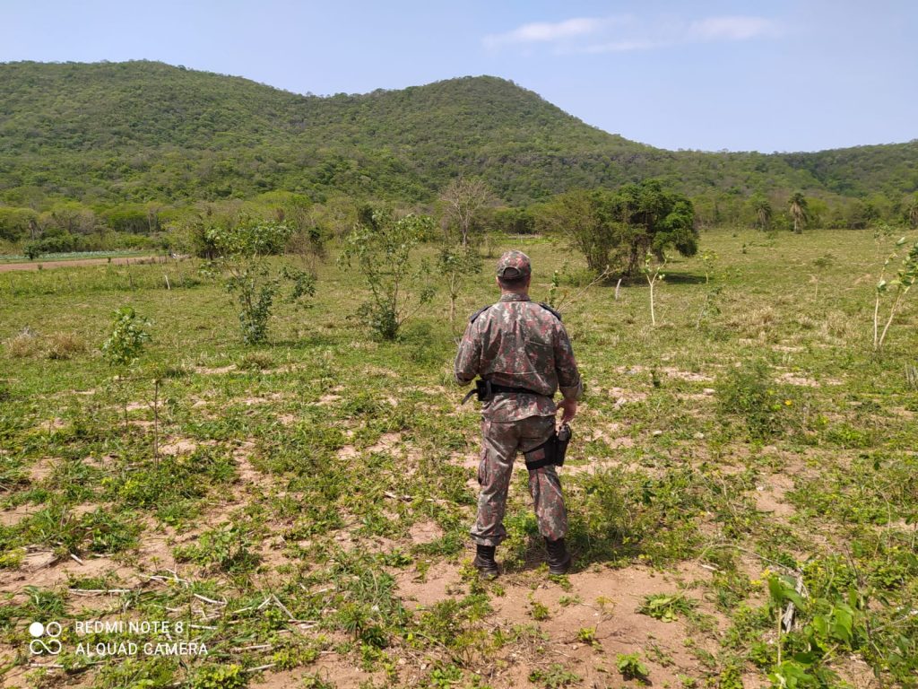 PMA autua 11 infratores e aplica 57 mil em multas durante a operação Padroeira do Brasil