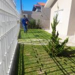 Amambai conta com mais uma empresa especialista em jardinagem: a Clínica do Jardim!