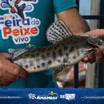 20ª Feira do Peixe Vivo em Amambai segue até sexta-feira (7)