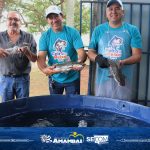 20ª Feira do Peixe Vivo em Amambai segue até sexta-feira (7)