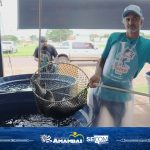 20ª Feira do Peixe Vivo em Amambai segue até sexta-feira (7)