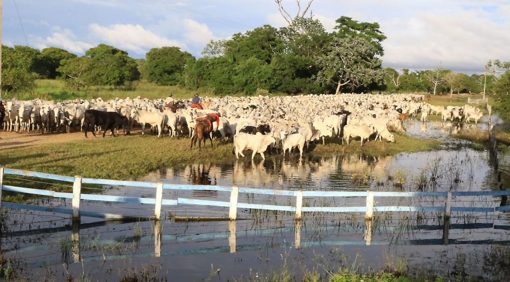 Produção agrícola do Estado deve superar 72 milhões de toneladas com renda acima dos R$ 52 bilhões