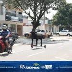 Competição Boi-Moto diverte e premia laçadores durante Super Domingo