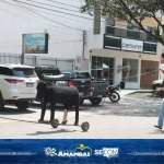 Competição Boi-Moto diverte e premia laçadores durante Super Domingo