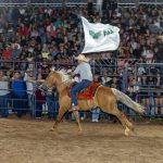 Confira a galeria de fotos da Expobai por Dalton Zonta