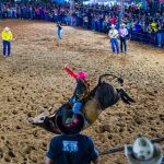 Confira a galeria de fotos da Expobai por Dalton Zonta