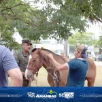 1º Pentatlo Caipira garantiu adrenalina e muitas risadas no Super Domingo