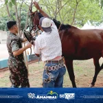 1º Pentatlo Caipira garantiu adrenalina e muitas risadas no Super Domingo