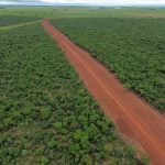 Reconstrução da estrada do Chorro impulsiona desenvolvimento e melhora condições locais