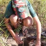 Plantio e distribuição de mudas marcam mais um dia da programação especial de Meio Ambiente em Amambai
