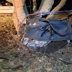 Amambai: Mulher e criança morrem em acidente na rodovia 386