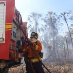 Operação Pantanal: bombeiros de MS lutam para conter grandes chamas na região do Nabileque