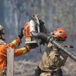 Operação Pantanal: bombeiros de MS lutam para conter grandes chamas na região do Nabileque