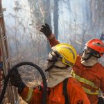 Operação Pantanal: bombeiros de MS lutam para conter grandes chamas na região do Nabileque