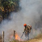 Operação Pantanal: bombeiros de MS lutam para conter grandes chamas na região do Nabileque