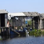 Maior que Portugal: mapa mostra imensidão do Pantanal em MS e desafios de logística no bioma