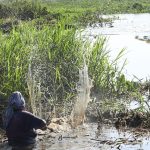 Maior que Portugal: mapa mostra imensidão do Pantanal em MS e desafios de logística no bioma