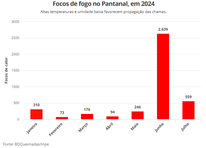 Pantanal: incêndios em 30 áreas foram provocados por ação humana, apontam PF e Ibama