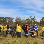 Peritos, bombeiros e PMA de MS passam por curso para identificar incêndios florestais criminosos