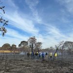 Peritos, bombeiros e PMA de MS passam por curso para identificar incêndios florestais criminosos