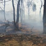 Corpo de Bombeiros combate incêndios em Amambai e Paranhos, com graves danos em áreas rurais e indígenas