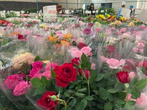 Começou nesta quarta-feira (25) a 13ª Feira das Flores em comemoração aos 76 Anos de Amambai