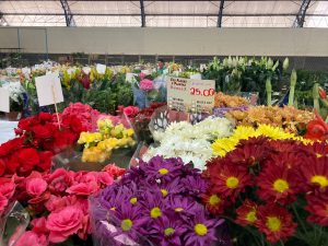 Começou nesta quarta-feira (25) a 13ª Feira das Flores em comemoração aos 76 Anos de Amambai