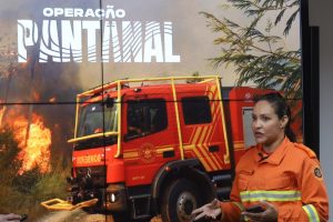 Operação Pantanal: ações contra incêndios florestais continuam com força máxima em MS