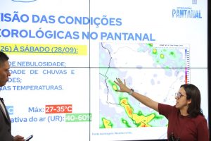 Operação Pantanal: ações contra incêndios florestais continuam com força máxima em MS