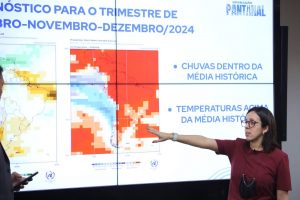 Operação Pantanal: ações contra incêndios florestais continuam com força máxima em MS