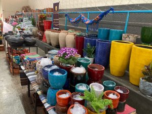 Começou nesta quarta-feira (25) a 13ª Feira das Flores em comemoração aos 76 Anos de Amambai