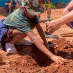 Crianças marcam o Dia da Árvore com plantio de mudas no CEINF Rosa Maria Osorski