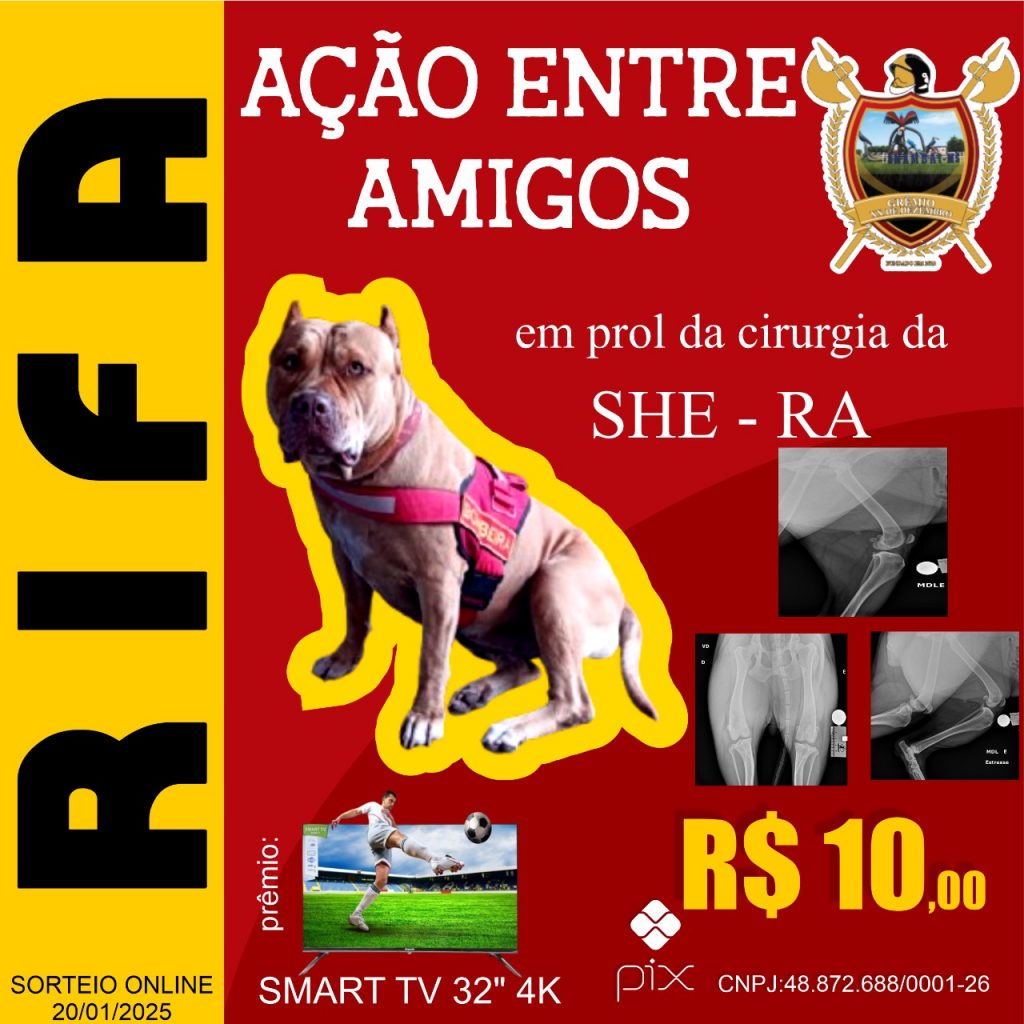 Corpo de Bombeiros de Amambai promove rifa para custear cirurgia da cachorra She-Ra