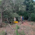 Bombeiros resgatam mulher ferida em cachoeira de difícil acesso em Amambai