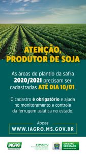 Prazo para agricultor registrar área plantada com soja termina em 10 de janeiro