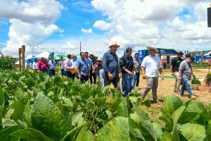 Com apoio do Governo do Estado, TecnoAgro 2025 reúne novidades do setor e conhecimento