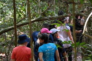 Imasul promove atividades no Parque Matas do Segredo para celebrar o Dia Internacional da Mulher