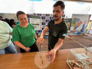 14ª Edição do Drive-Thru da Reciclagem: população pode descartar pods e vapes usados