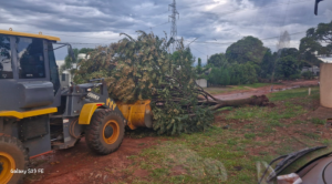 Prefeitura de Amambai intensifica ações para reparar estragos causados pela forte chuva de segunda-feira (17)