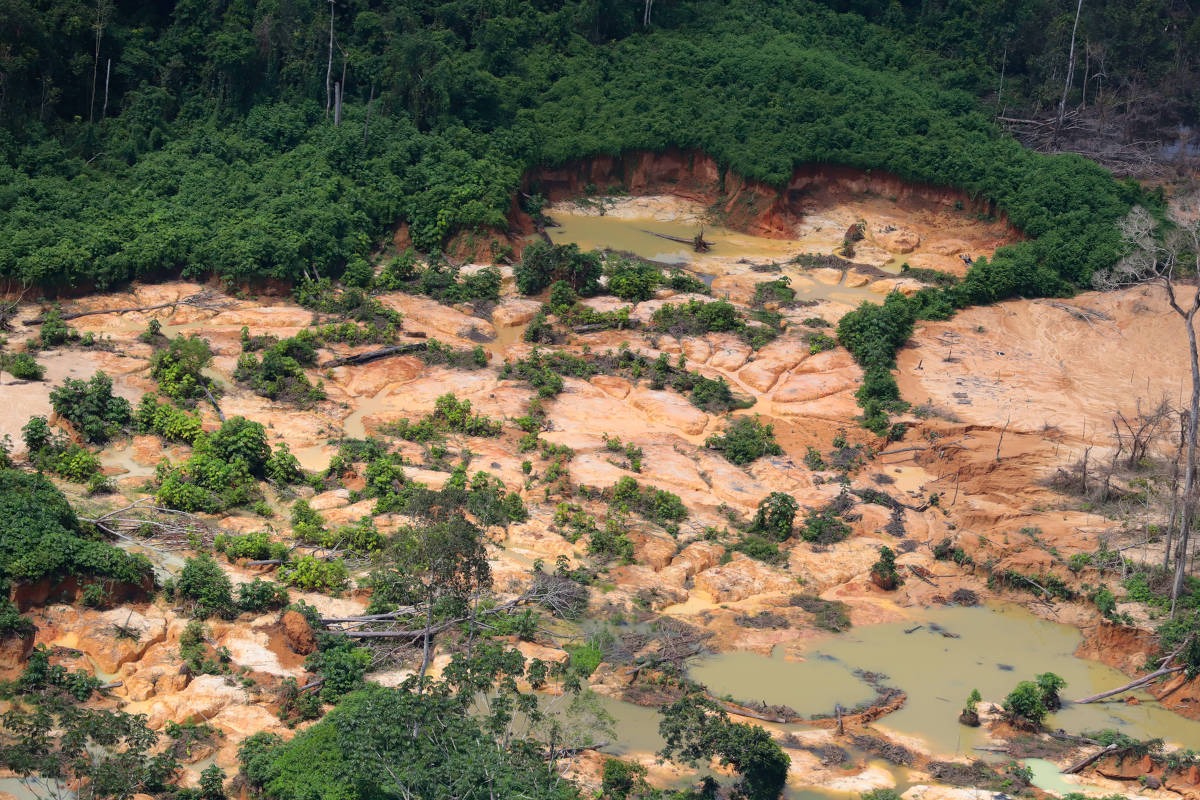 Registro de invasão de garimpeiros em terra indígena ianomâmi em maio de 2020, no estado de Roraima – Chico Batata/Greenpeace