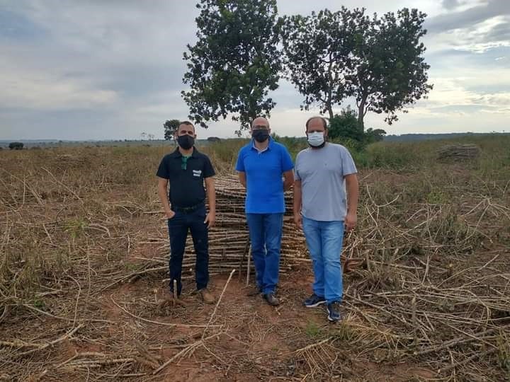 Vice-prefeito Rodrigo Selhorst e o secretário Sérgio Felizarodo, durante visita em lavoura de mandioca na fazenda São Geraldo / Foto: Divulgação