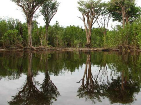 Parque Nacional do Jaú (AM) (kellyresende / Creative Commons)