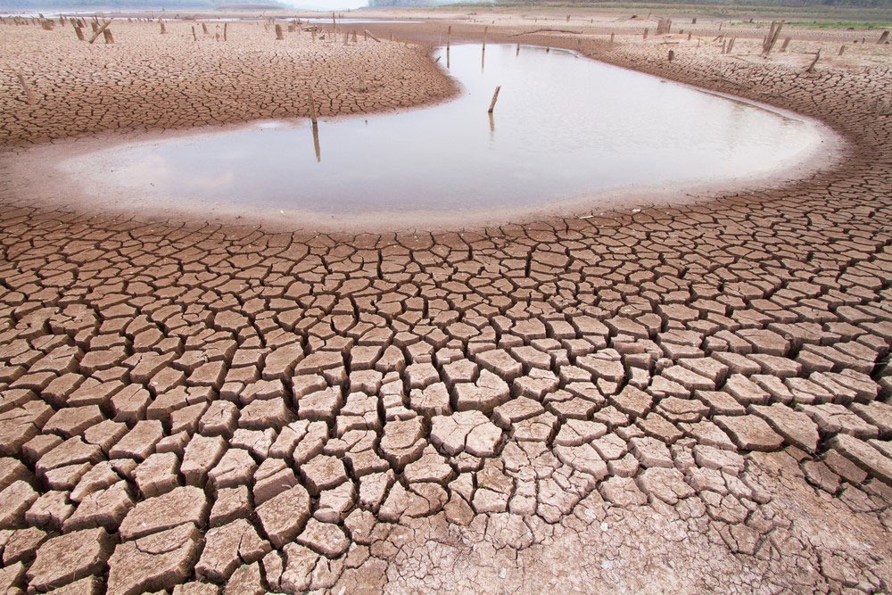 Foto: Igui Ecologia