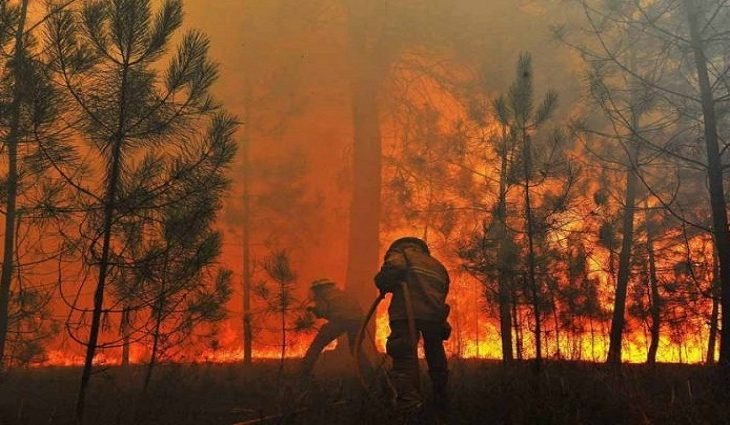 Foto: Arquivo Portal do MS, dezembro de 2020