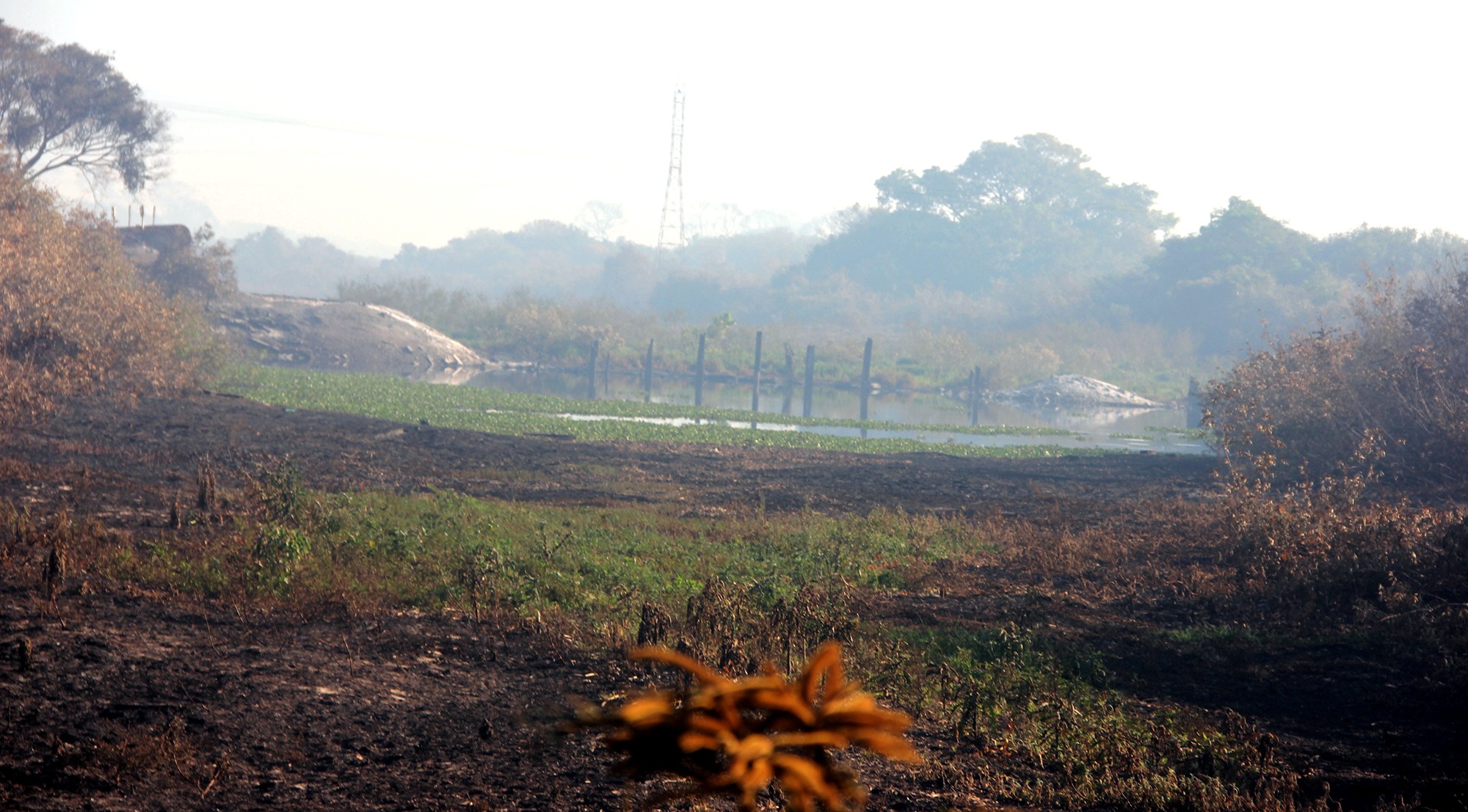 Incêndio destruiu a ponte de madeira e seu entorno, na MS-228, mesmo com o campo encharcado (Foto: Silvio de Andrade)