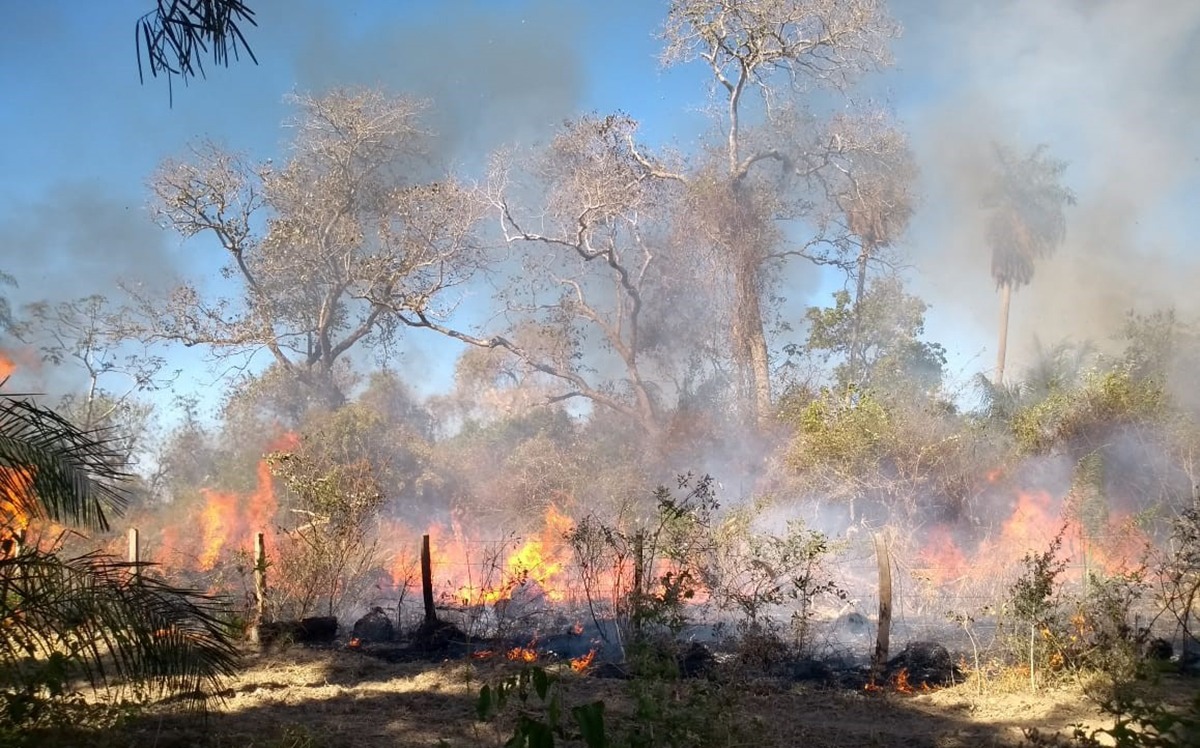 Incêndio de grandes proporções, controlado pelos bombeiros e peões, atingiu três fazendas na Nhecolândia (Foto: Divulgação)