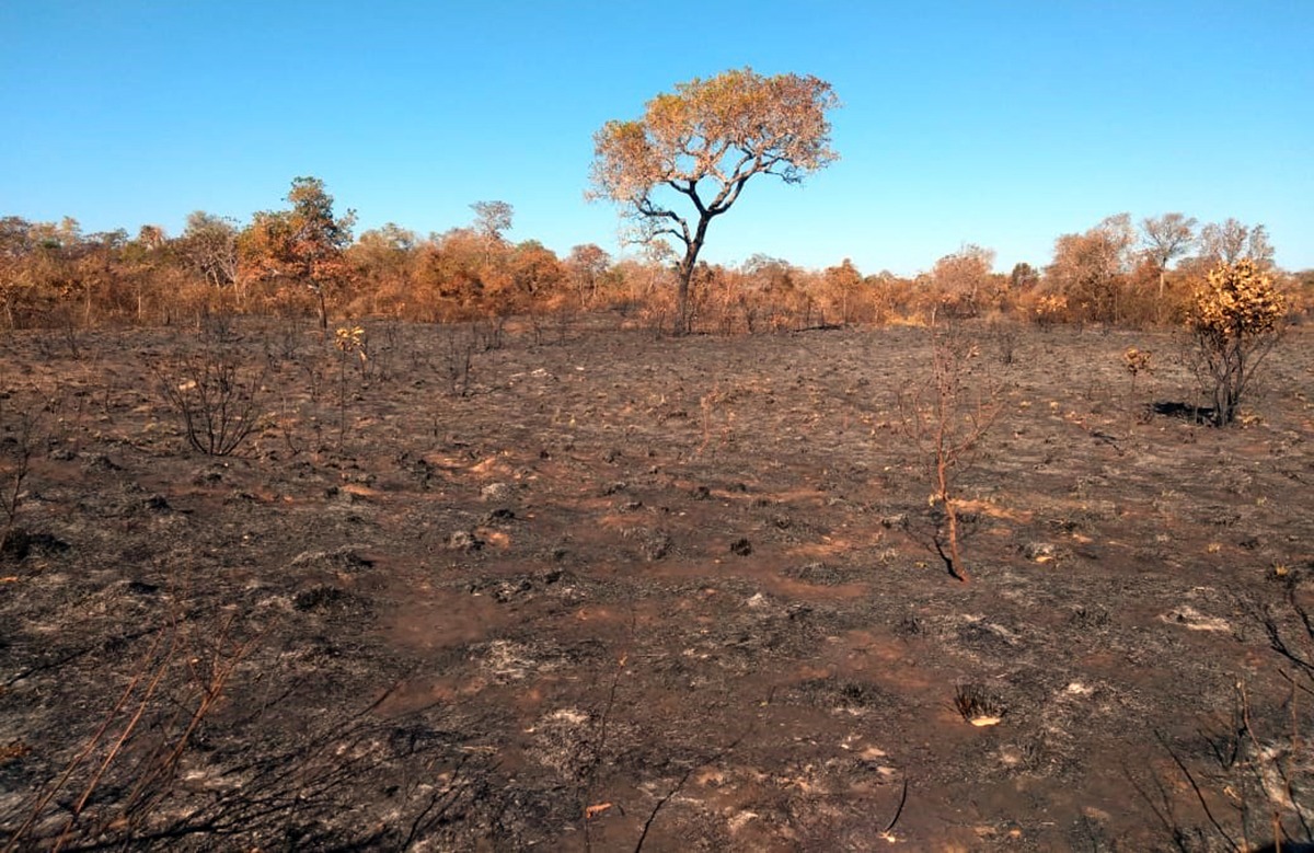 Fogo arrasou várias invernadas da Fazenda Itá, na região do Taquari, queimando 1.600 hectares de pastagem  (Foto: Divulgação)