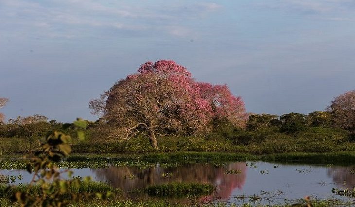  Fotos: @visitmsoficial