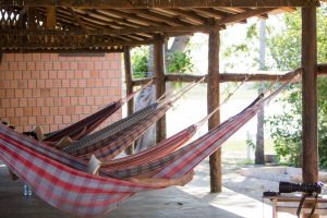 Queimadas no Pantanal não alcançam regiões de pousadas e hotéis fazenda de MS